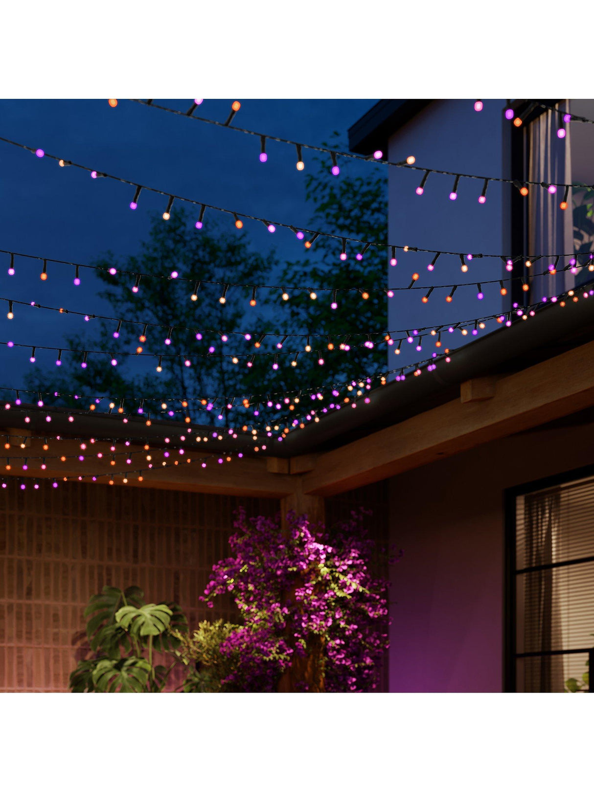 Philips Hue Festavia Smart 500 Multicolour LED Indoor/Outdoor Light String