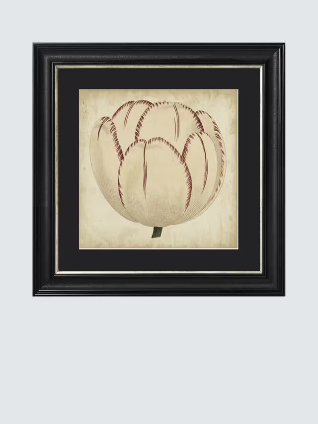 Brookpace Lascelles 'Pop Floral I' Framed Print 49 x 49cm - Black/Cream