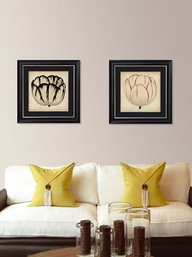 Brookpace Lascelles 'Pop Floral I' Framed Print 49 x 49cm - Black/Cream