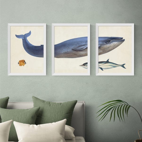 EAST END PRINTS Natural History Museum 'Whale' Print Set of 3 White Frame