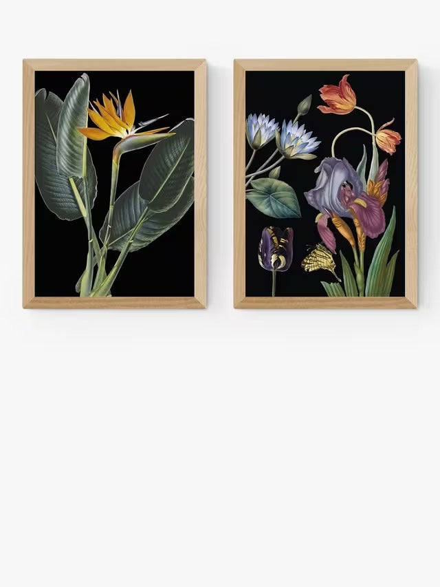 EAST END PRINTS Natural History Museum Dark Floral Framed Print A3 Set of 2