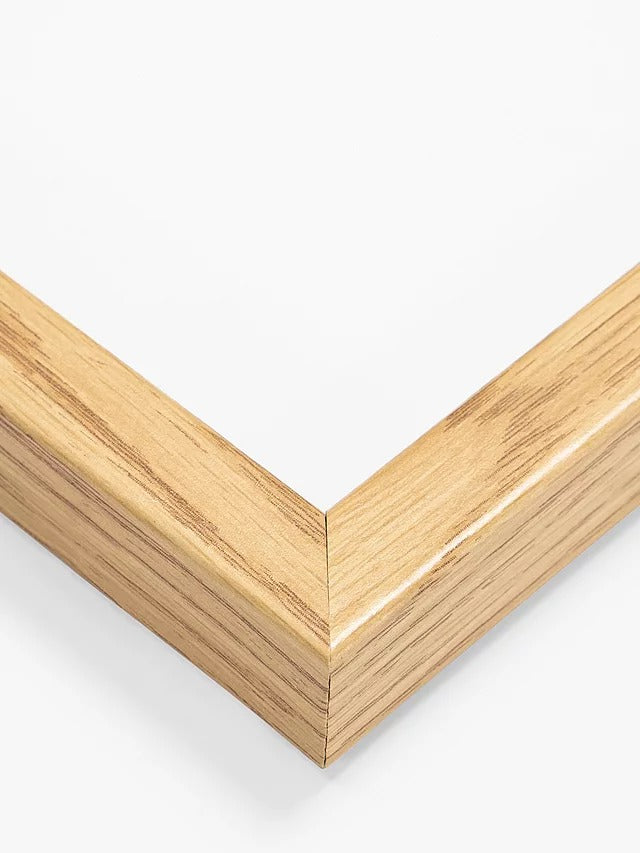 John Lewis Print Punk Studio - 'Vintage Blossom' Framed Print Set of 4 Multi - Kazoop