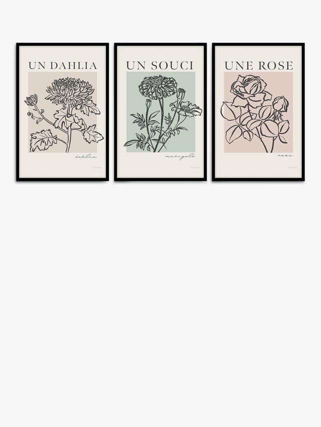 Mercedes Lopez Charro 'French Flowers' Framed Poster 3 Print Set 62 x 42cm