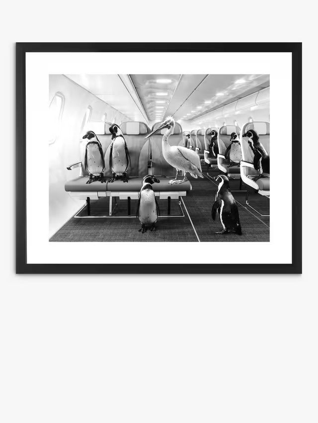 Brookpace Lascelles 'Penguins & Pelican Airplane Cabin' Print 45.5 x 55.5