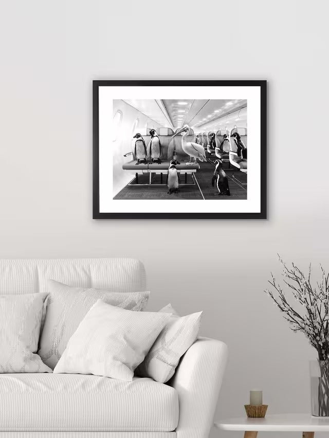 Brookpace Lascelles 'Penguins & Pelican Airplane Cabin' Print 45.5 x 55.5
