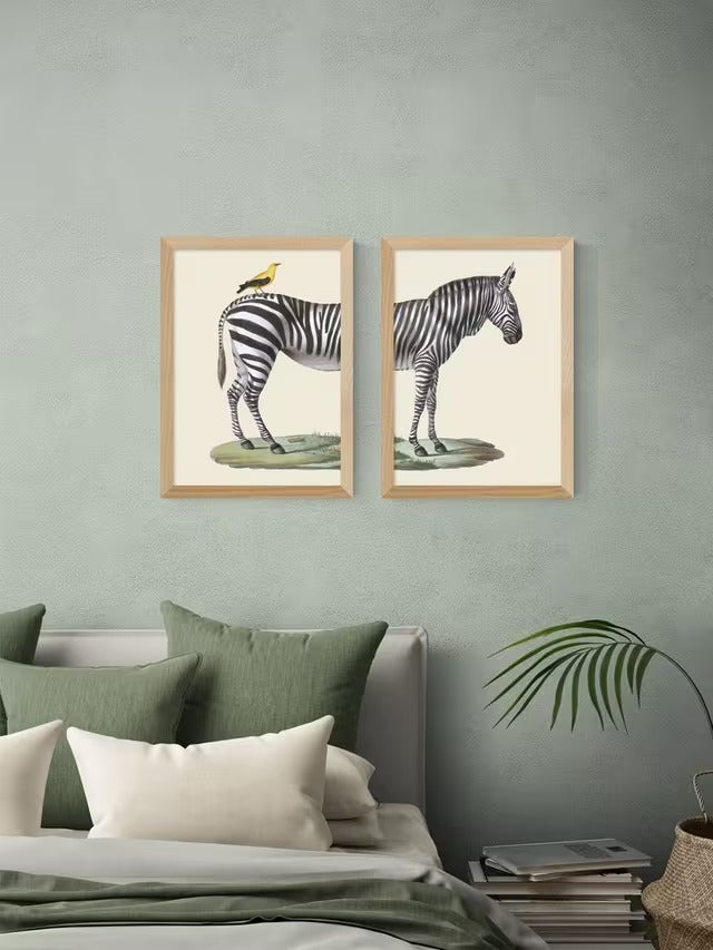 EAST END PRINTS Natural History Museum Zebra & Bird A3 Oak Framed Print Set