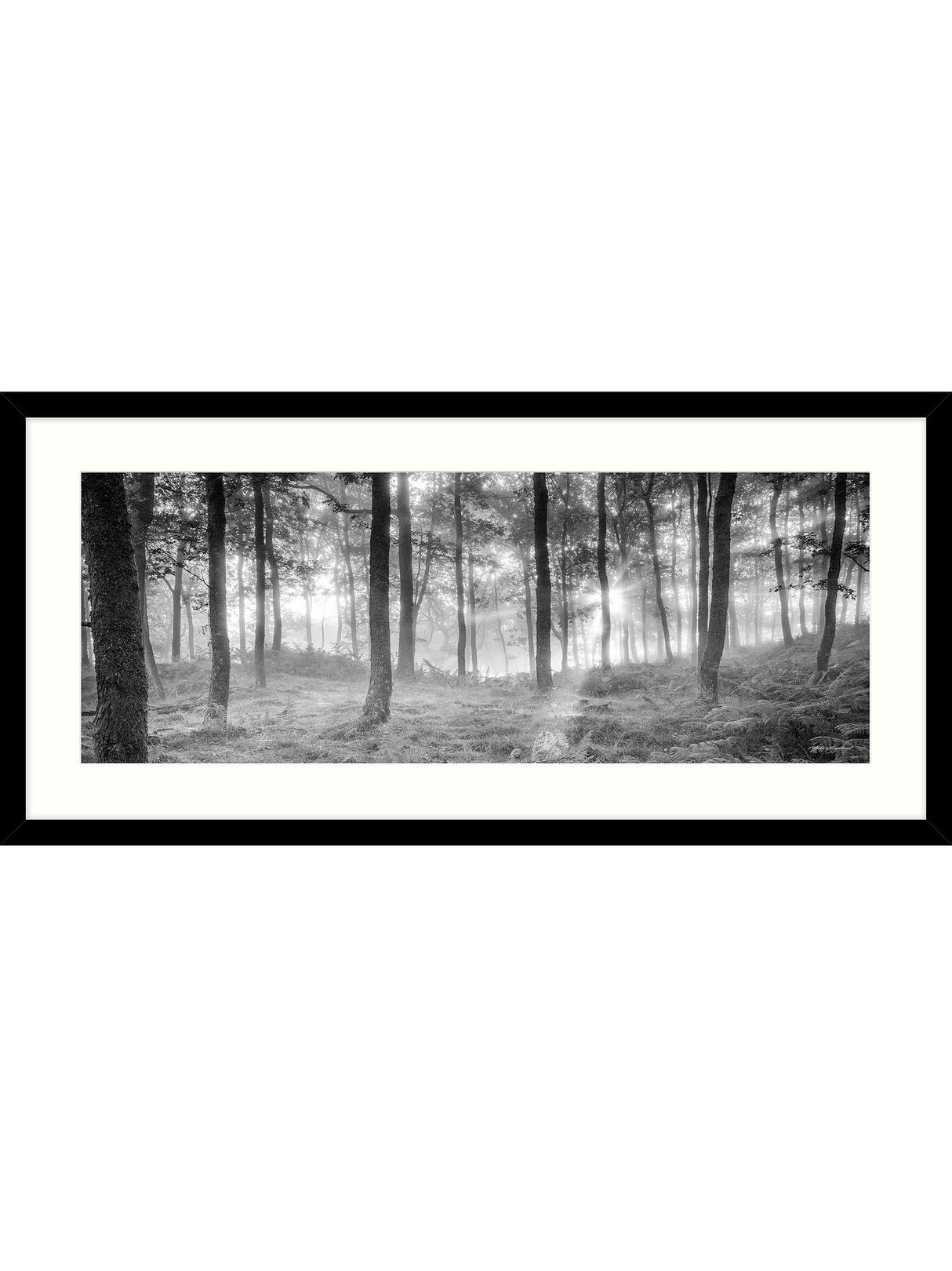 John Lewis Mike Shepherd 'Misty Trees' Framed Print & Mount - 49 x 104cm