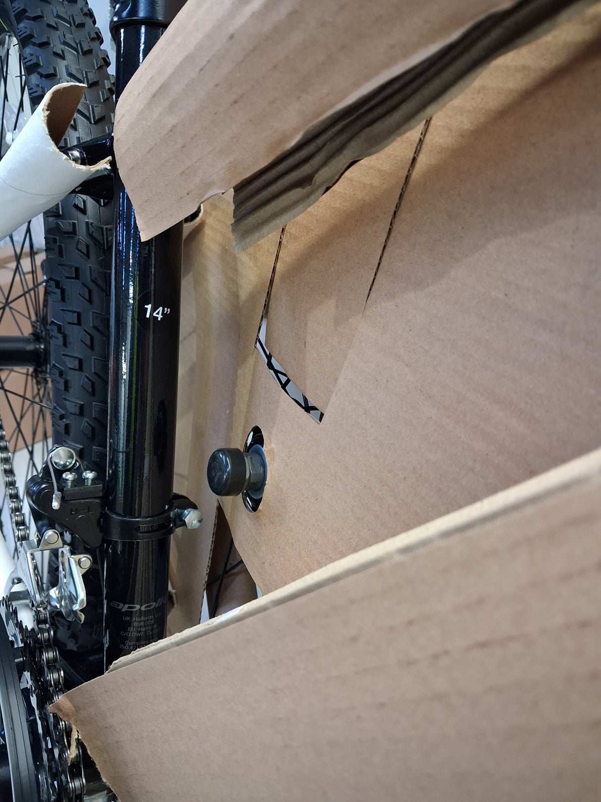 Apollo Evade Mens 21-Speed Disc Brake Mountain Bike - Black - Small 14"