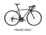 Boardman BBL Road Team Carbon Fibre Frame Only 700C 53 cm XL Silver Grey