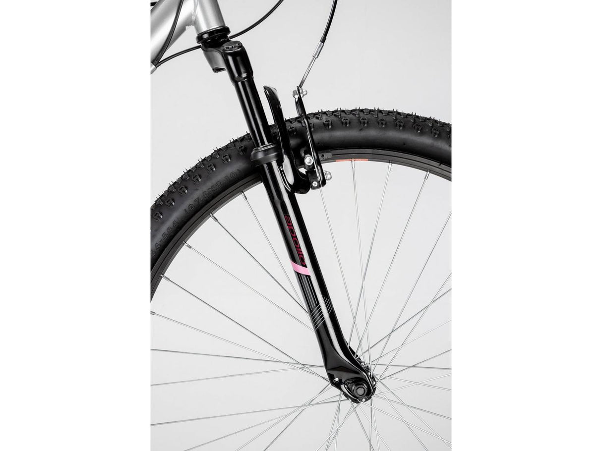 Apollo Twilight Women's 18-Speed Hardtail Mountain Bike Large (20") - Silver