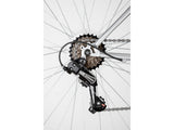 Apollo Twilight Women's 18-Speed Hardtail Mountain Bike Large (20") - Silver