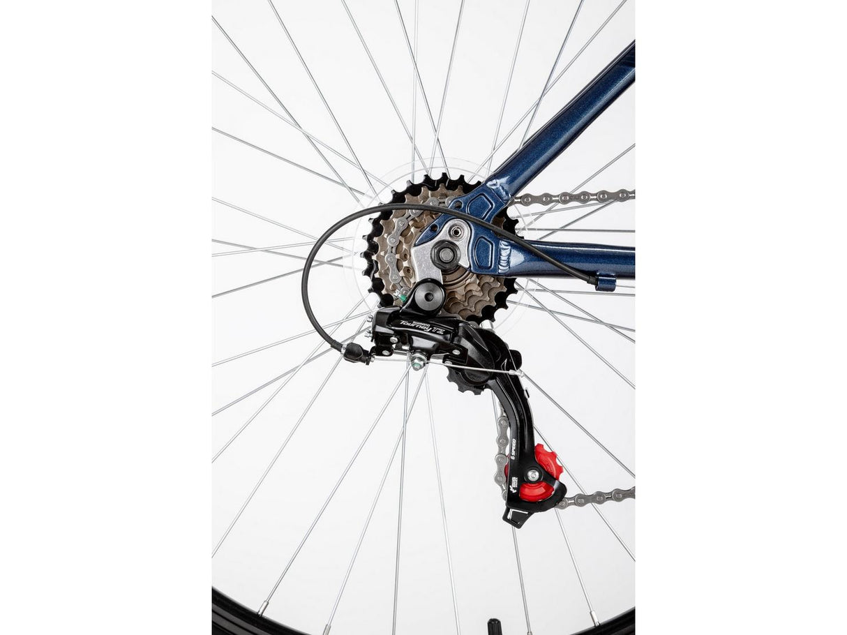 Apollo Phaze 18-Speed V-Brakes Hardtail Steel Mountain Bike Small 14" Blue