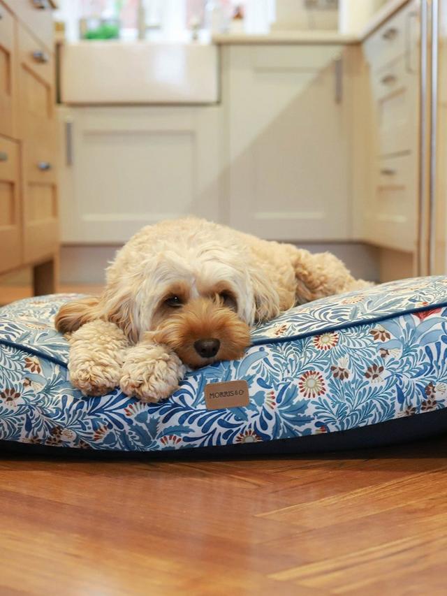 Morris & Co. Bower Washable Dog Bed Mattress H13 x W70 x D55cm Multicoloured