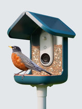 Bird Buddy PRO Camera Video Photography AI-Powered Garden Bird Feeder - Blue