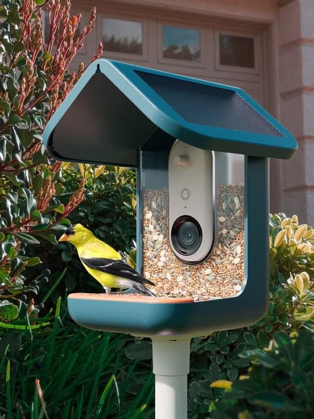 Bird Buddy PRO Camera Video Photography AI-Powered Garden Bird Feeder - Blue