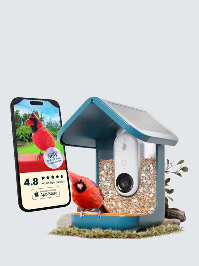 Bird Buddy PRO Camera Video Photography AI-Powered Garden Bird Feeder - Blue