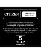 Citizen BM8242-08P Men's 32mm Eco-Drive Leather Strap Watch - Brown/Gold