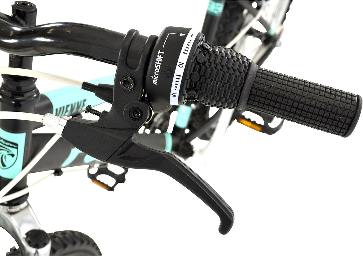 Falcon Vienne Womens 18 Speed Mountain Bike - Black/Green - Small Frame