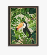 John Lewis Andrea Haase Jungle Toucan Framed Print 77 x 57cm - Green/Multi