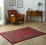 Gooch Luxury Hand Knotted Pakistan Bokhara Wool Rug 185 x 125cm - Red