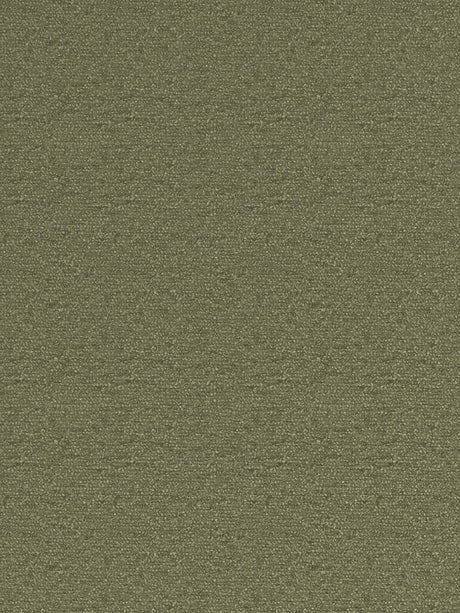John Lewis Textured Boucle Lined Eyelet Curtains - Pale Avocado 228 x 137cm