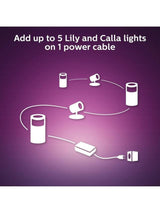 Philips Hue White & Colour Ambiance Lily LED Smart Outdoor Stake Lights Set