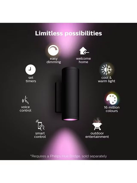 Philips Hue White And Colour Ambiance Appear LED Smart Outdoor Wall Light