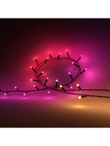 Philips Hue Festavia Smart 500 Multicolour LED Indoor/Outdoor Light String