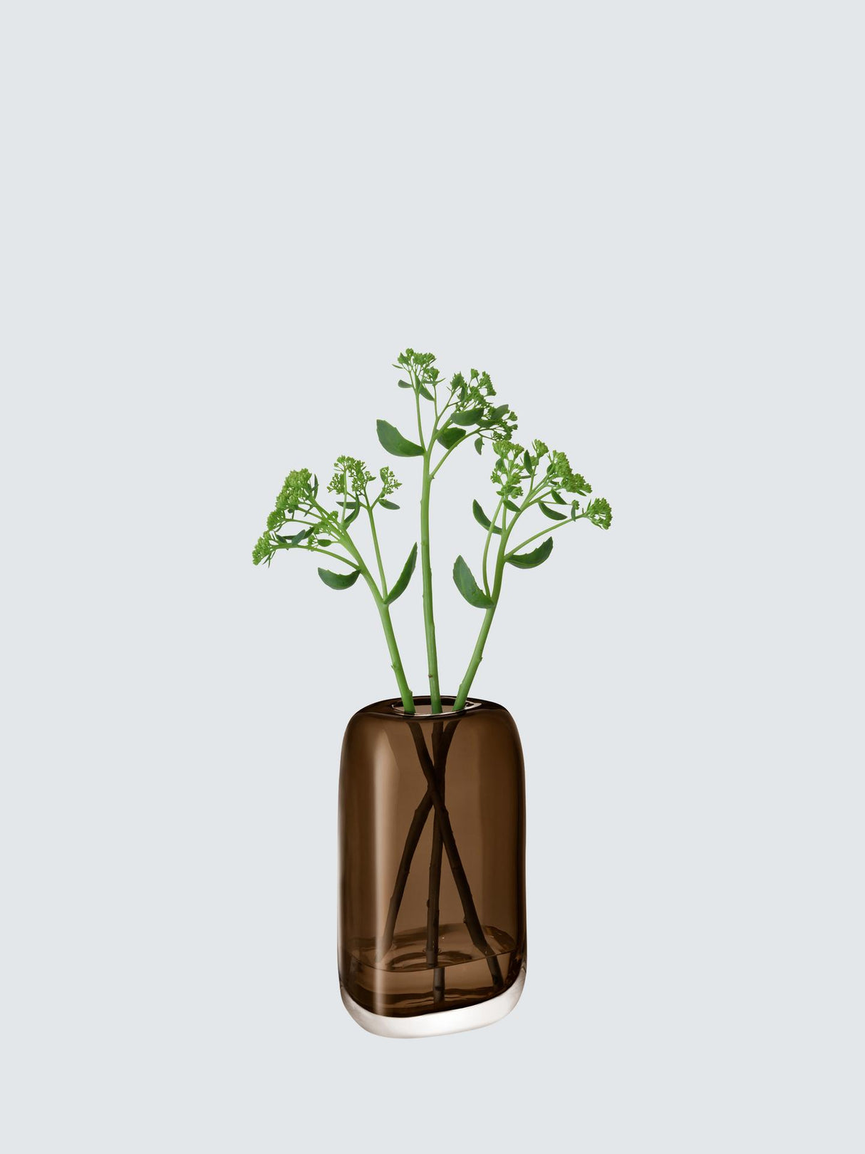LSA International Mouth Blown Glass Melt Vase H24 x W13.50 x D9.80cm - Brown