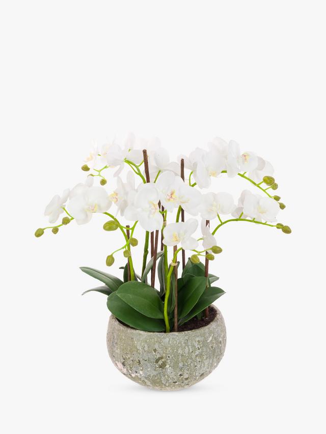 Floralsilk Artificial White Orchid Arrangement Clay Pot Indoor Plant - White