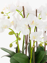 Floralsilk Artificial White Orchid Arrangement Clay Pot Indoor Plant - White