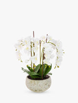 Floralsilk Artificial White Orchid in Clay Pot H75 x W65 x D65 cm - Kazoop 
