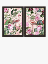 John Lewis Andrea Haase 'Flamingos' Framed Print 67 x 47cm Set of 2 - Pink