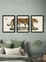 EAST END PRINTS Natural History Museum 'Jaguar' 3 Framed Prints A3 - Black
