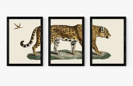 EAST END PRINTS Natural History Museum 'Jaguar' 3 Framed Prints A3 - Black