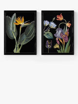 EAST END PRINTS Natural History Museum Dark Floral A2 Framed Prints - Black