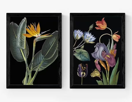 EAST END PRINTS Natural History Museum Dark Floral Black Frame A3 Print Set