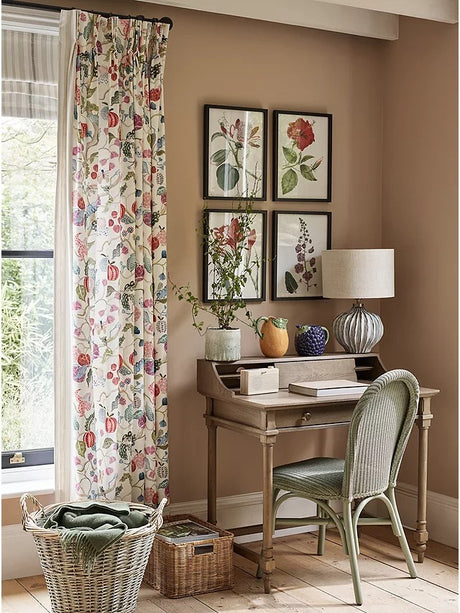 John Lewis Garden Botanicals - Framed Prints Set of 6 42 x 32cm - Multi