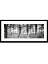 John Lewis Mike Shepherd 'Misty Trees' Framed Print & Mount - 49 x 104cm