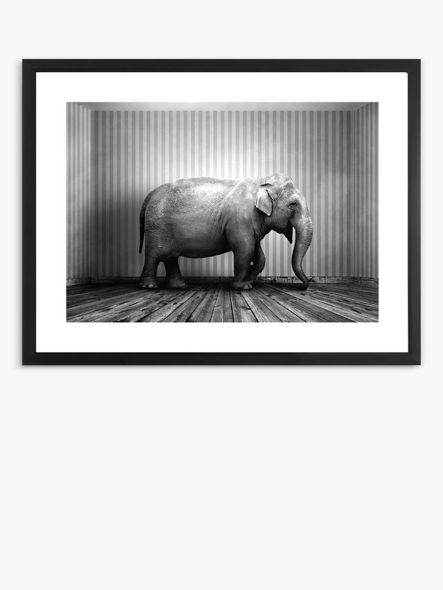 Brookpace Lascelles 'Elephant In The Room' Framed Print & Mount 65 x 85cm