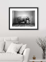 Brookpace Lascelles 'Elephant In The Room' Framed Print & Mount 65 x 85cm