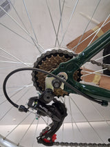 Apollo Jewel 18" Wheels V-Brake 18 Speed Womens Green Mountain Bike - Large