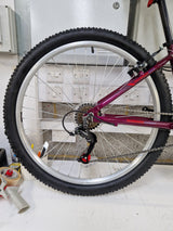 Apollo Jewel Women's 18 Speed 27.5in Hardtail Mountain Bike - Small - Purple