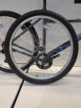 Apollo Jewel Womens 18-Speed Mountain Bike - Silver/Blue - Large 20'' Frame