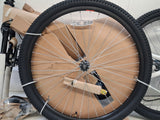 Apollo Phaze 18-Speed V-Brakes Hardtail Steel Mountain Bike Small 14" Blue