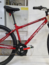 Apollo Phaze 2024 Men's 27.5in Hardtail Mountain Bike - 17in Medium - Red