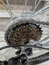 Apollo Slant 6-Gears V-Brake Steel Unisex Mountain Bike - Small 14" - Silver