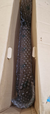 Carrera Hellcat Mens 16-Speed Hydraulic Disc Mountain Bike - Black - L 20''